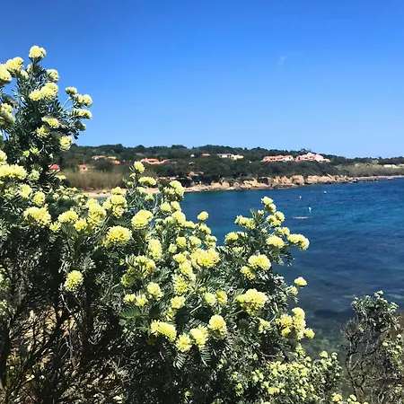 Sejour Ensoleille Au Pradet, Du Monaco