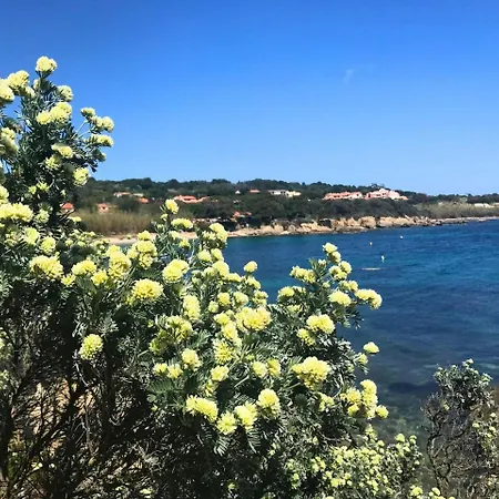 Sejour Ensoleille Au Pradet, Du Monaco بيت ضيافة 4*